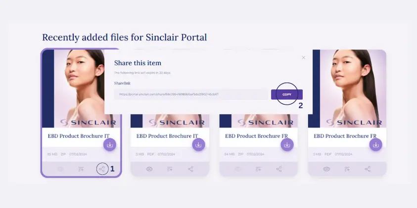 Sinclair Share Button Portal 1